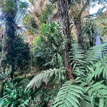 Evergreen Escape Hokitika Exterior photo