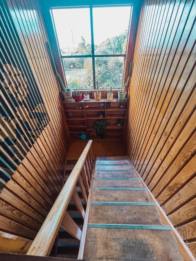 Evergreen Escape
