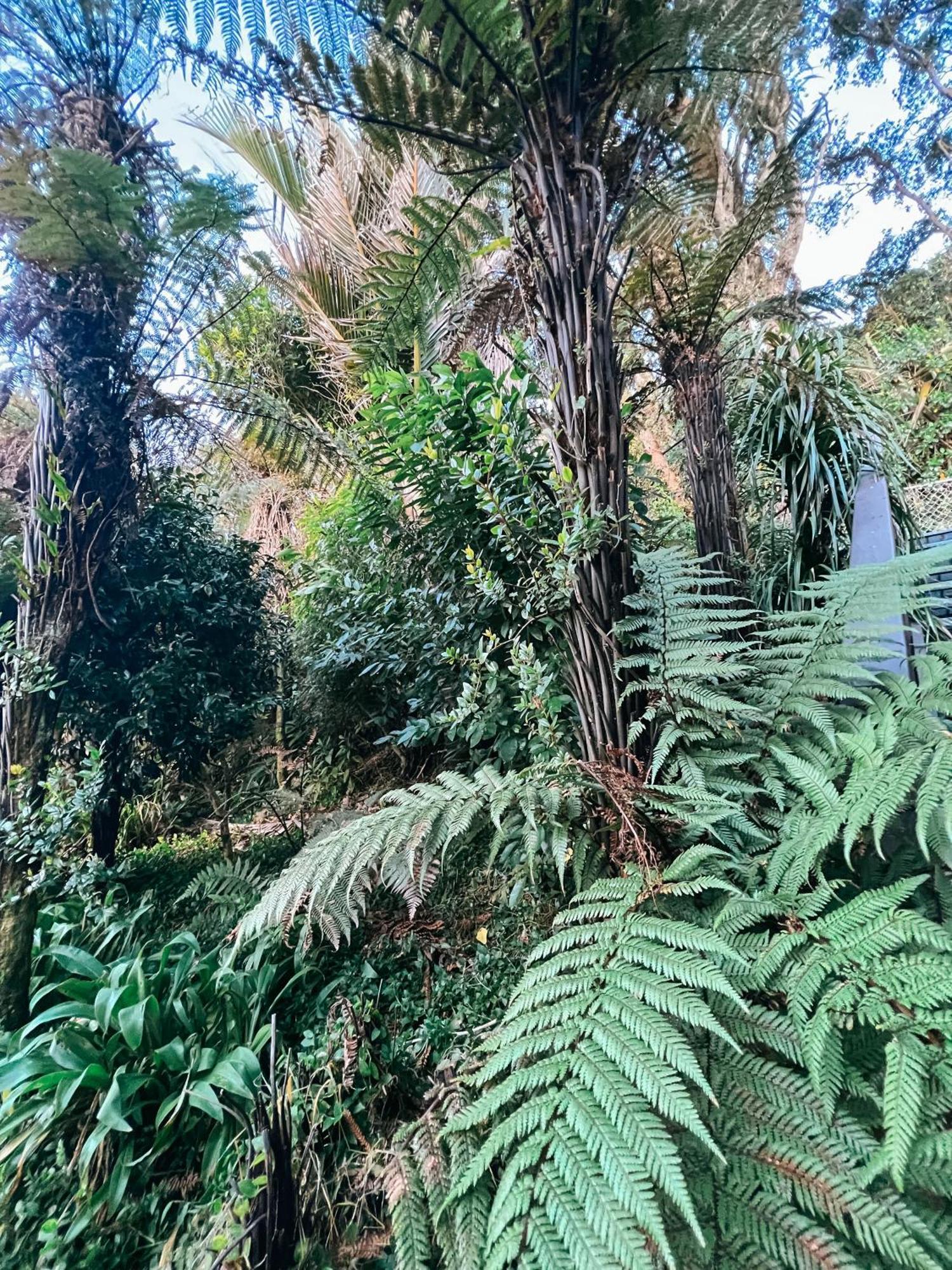 Evergreen Escape * Hokitika