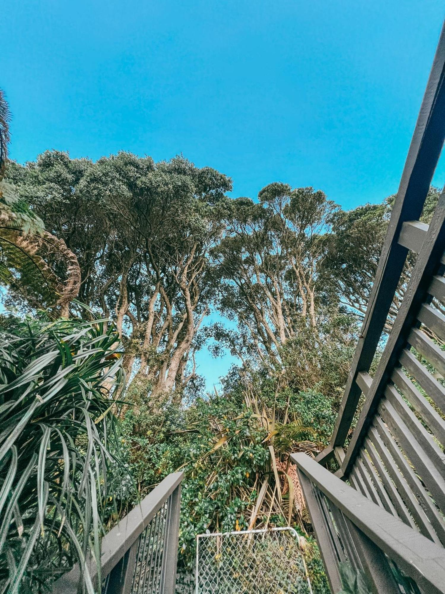 Evergreen Escape * Hokitika